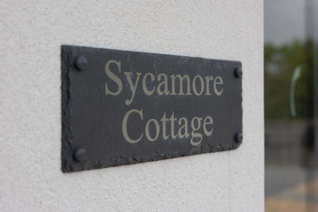 טנבי Sycamore Cottage מראה חיצוני תמונה